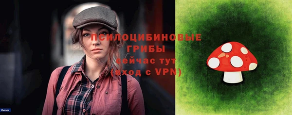 прущий лед Арсеньев