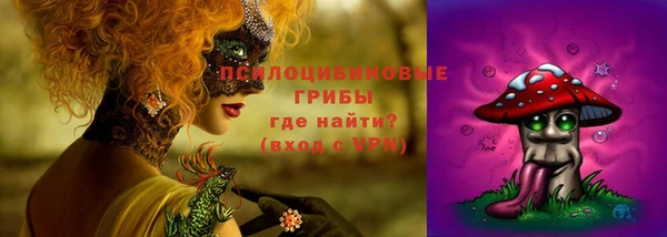 прущий лед Арсеньев