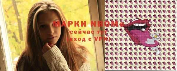прущий лед Арсеньев
