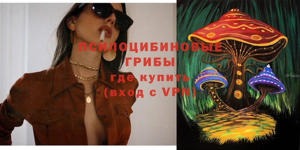 прущий лед Арсеньев